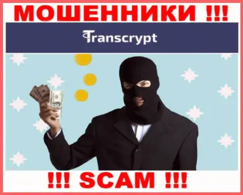 Весьма рискованно соглашаться связаться с компанией TransCrypt Eu - обчищают карманы
