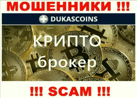 Тип деятельности кидал DukasCoin - это Крипто торговля, однако помните это обман !!!