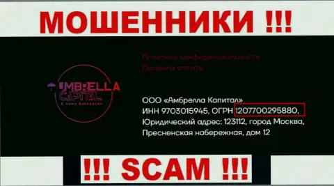 ООО Амбрелла Капитал интернет мошенников Umbrella-Capital Ru зарегистрировано под этим номером регистрации - 207700295880
