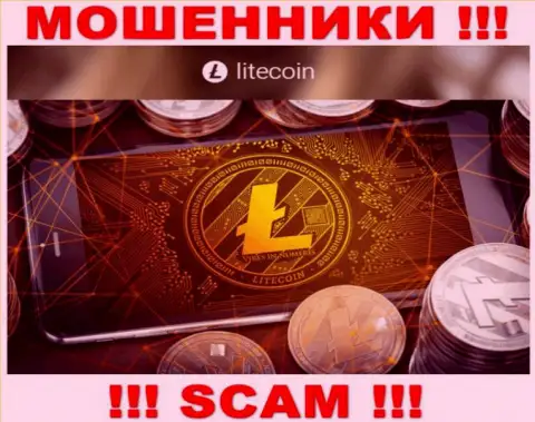 Работать совместно с LiteCoin крайне опасно, так как их вид деятельности Крипто сервис - это развод