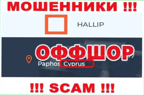 Лохотрон Халлип Ком имеет регистрацию на территории - Cyprus