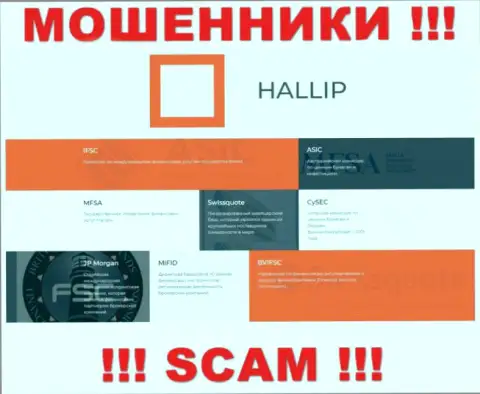 У компании Hallip Com имеется лицензия от дырявого регулятора - MFSA