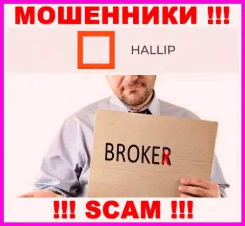 Тип деятельности internet-аферистов Hallip - это Брокер, однако знайте это разводилово !!!