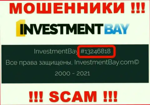 Номер регистрации, под которым зарегистрирована компания Investmentbay LTD: 13246818