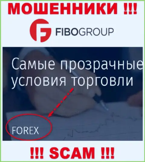 ФибоГрупп занимаются грабежом доверчивых людей, промышляя в направлении Forex