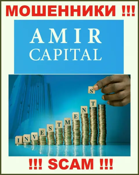 Не отдавайте накопления в Амир Капитал, направление деятельности которых - Инвестирование