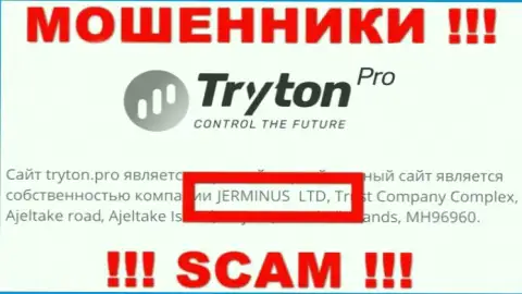 Сведения о юридическом лице Tryton Pro - им является контора Jerminus LTD