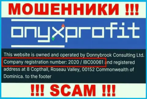 Регистрационный номер, который принадлежит компании Оникс Профит - 2020 / IBC00061
