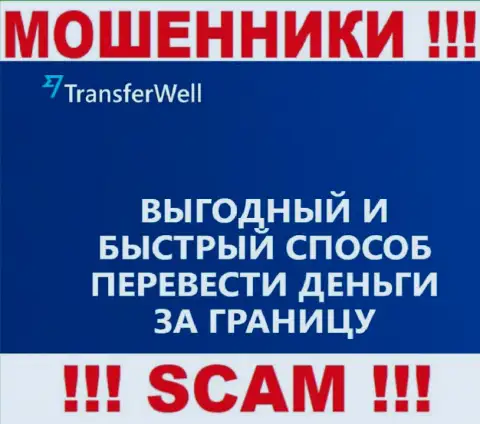 Не стоит верить, что работа TransferWell в сфере Платежная система законна