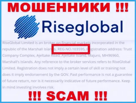 Рег. номер Rise Global, который мошенники указали у себя на интернет-странице: 103595