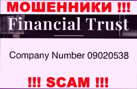 Регистрационный номер очередных мошенников всемирной сети организации Financial-Trust Ru - 09020538