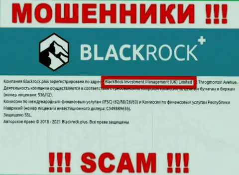 Руководителями БлэкРок Плюс оказалась компания - BlackRock Investment Management (UK) Ltd