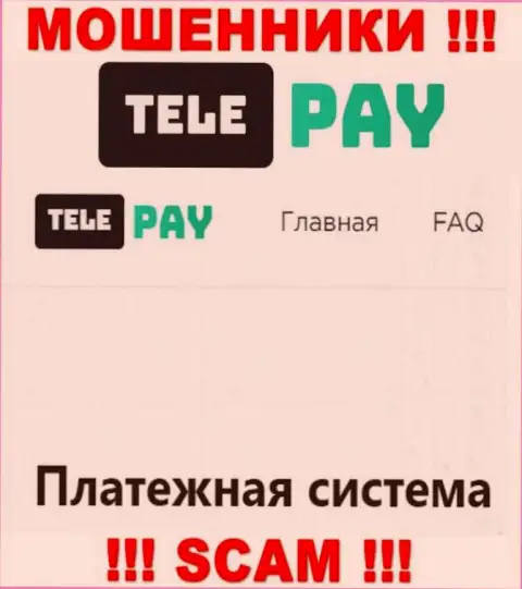 Основная работа TelePay - это Платежная система, будьте крайне внимательны, прокручивают делишки противоправно