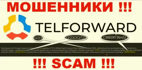На интернет-ресурсе TelForward Net имеется лицензионный документ, но это не меняет их мошенническую суть