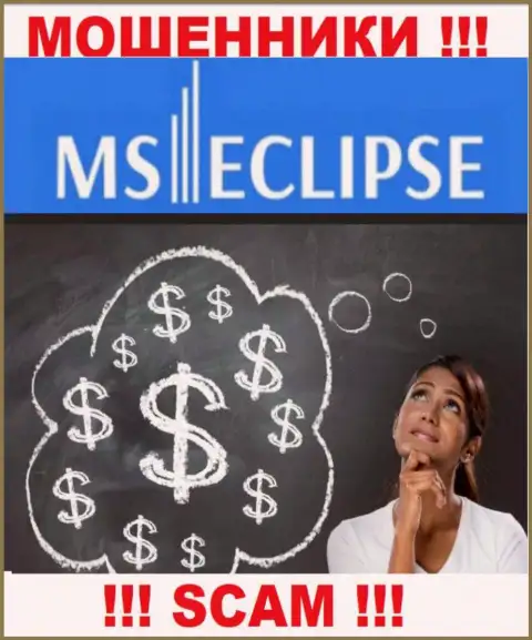 Сотрудничество с организацией MSEclipse принесет только потери, дополнительных налогов не оплачивайте