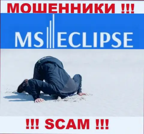 С MS Eclipse довольно рискованно совместно работать, т.к. у конторы нет лицензии и регулятора