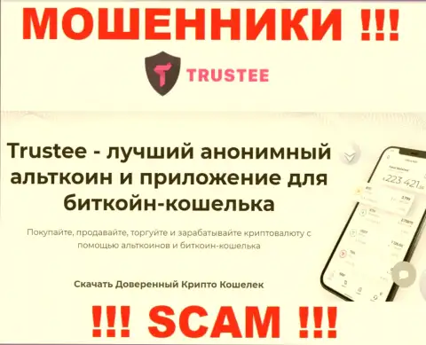 Trustee Wallet - это профессиональные интернет обманщики, направление деятельности которых - Криптокошелёк