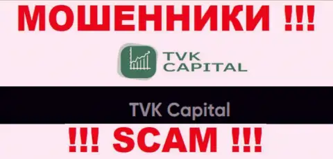 TVK Capital - это юридическое лицо мошенников TVKCapital Com