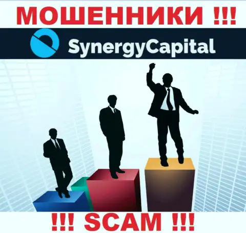 SynergyCapital Cc предпочитают анонимность, сведений о их руководителях Вы найти не сможете