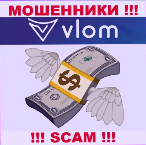 Дилинговая организация Vlom работает лишь на прием депозитов, с ними Вы абсолютно ничего не сможете заработать