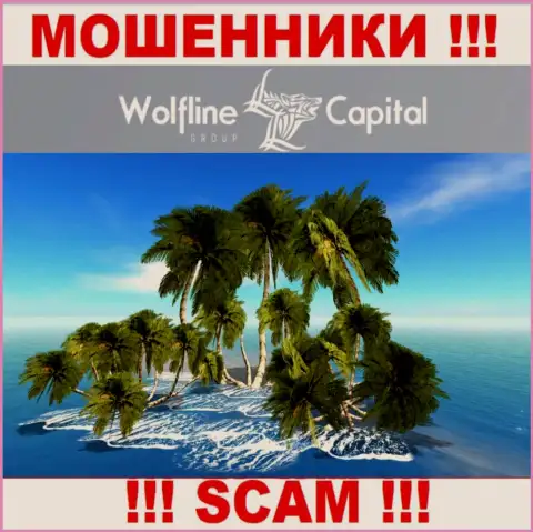 Мошенники Wolfline Capital не показывают правдивую инфу относительно своей юрисдикции