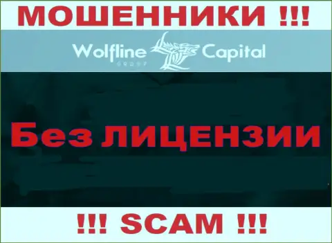 Нереально отыскать данные о номере лицензии интернет-лохотронщиков Wolfline Capital - ее просто не существует !!!