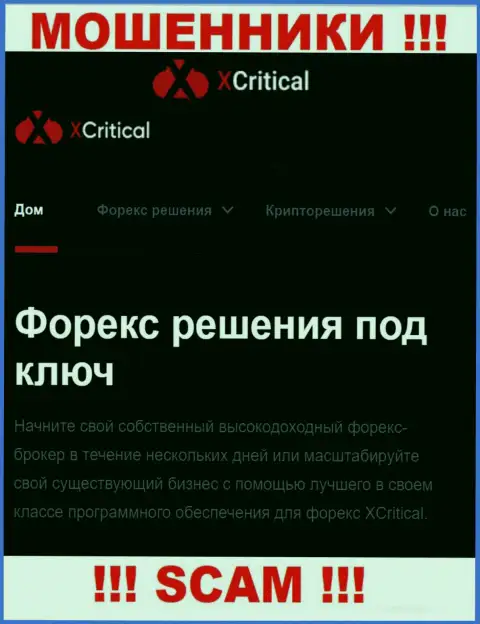 XCritical - это подозрительная компания, сфера деятельности которой - ФОРЕКС