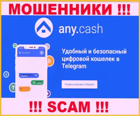 Ани Кеш - это интернет-мошенники, их работа - Крипто кошелек, нацелена на грабеж вкладов доверчивых клиентов